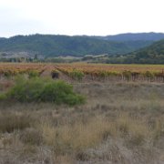 Napa 041 : Napa